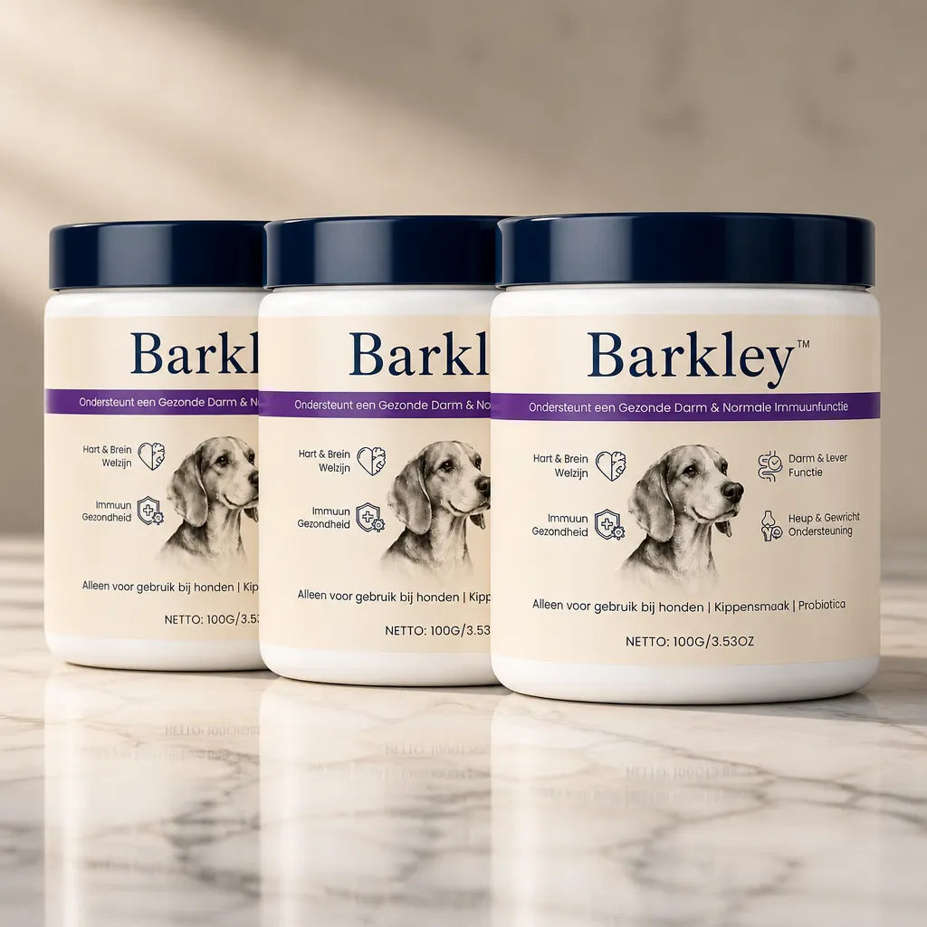 bundle-3x